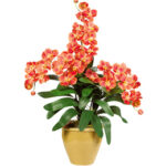 گل-و-نهال گل و درخت بذر کود گل-گیاه-سلداشاپ سلداآنلاین_شاپ فروشگاه_سلدا