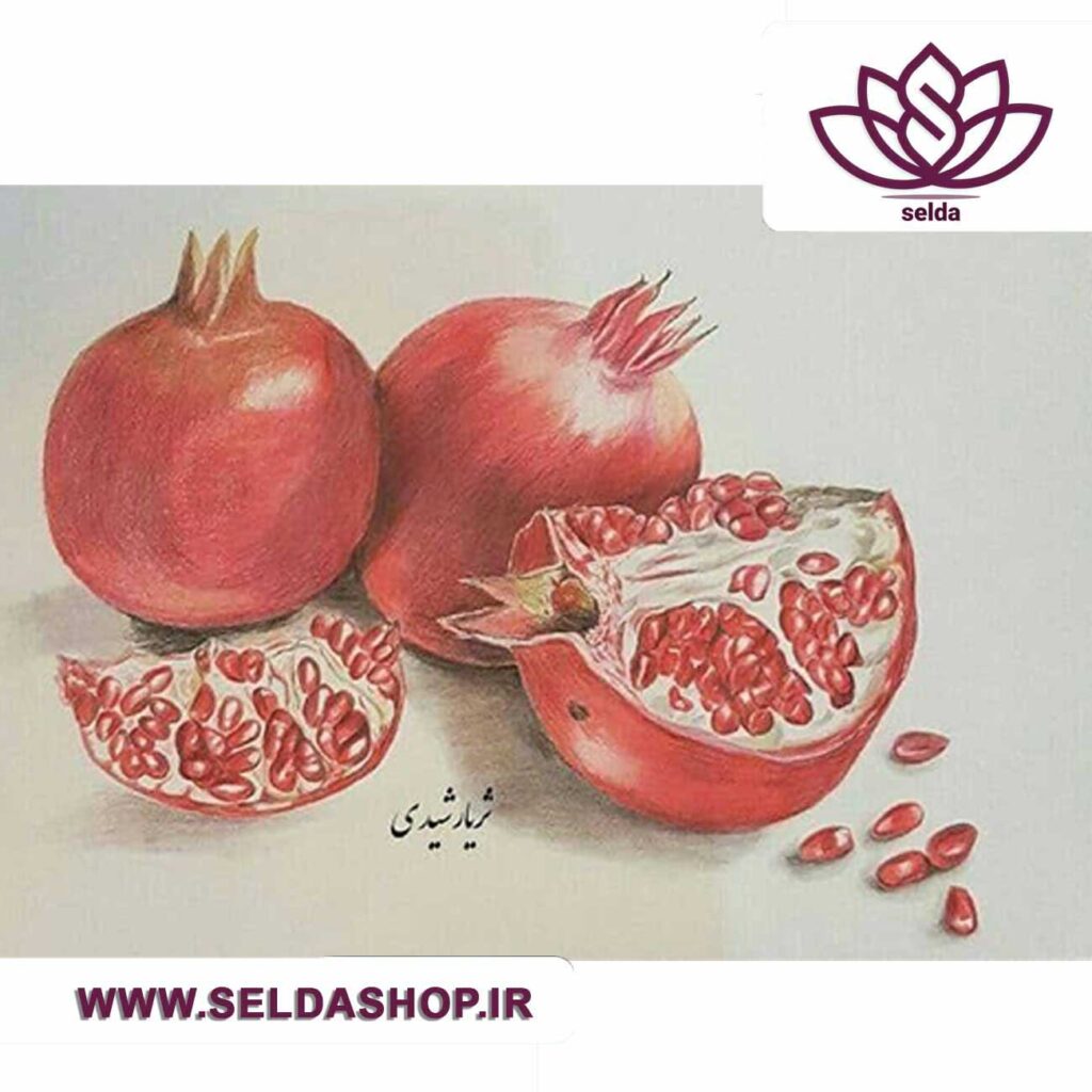 تابلو مدادرنگی انار-سلدا