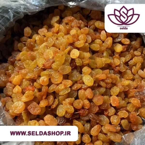 کشمش پلویی | صنایع دستی| گردشگری| سوغات| سلدا|سلداشاپ| دستفروشان| قیمت مناسب| بهترین کشمش| محصولات روستایی|غرفه محصولات خانگی کیان| کشمش اصل|خشکبار